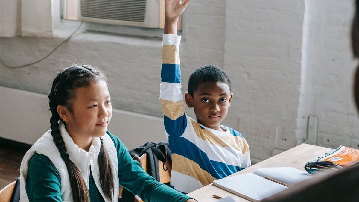 Grade 7 End of Term 3 Exams 2026: What to Revise in Each Learning Area