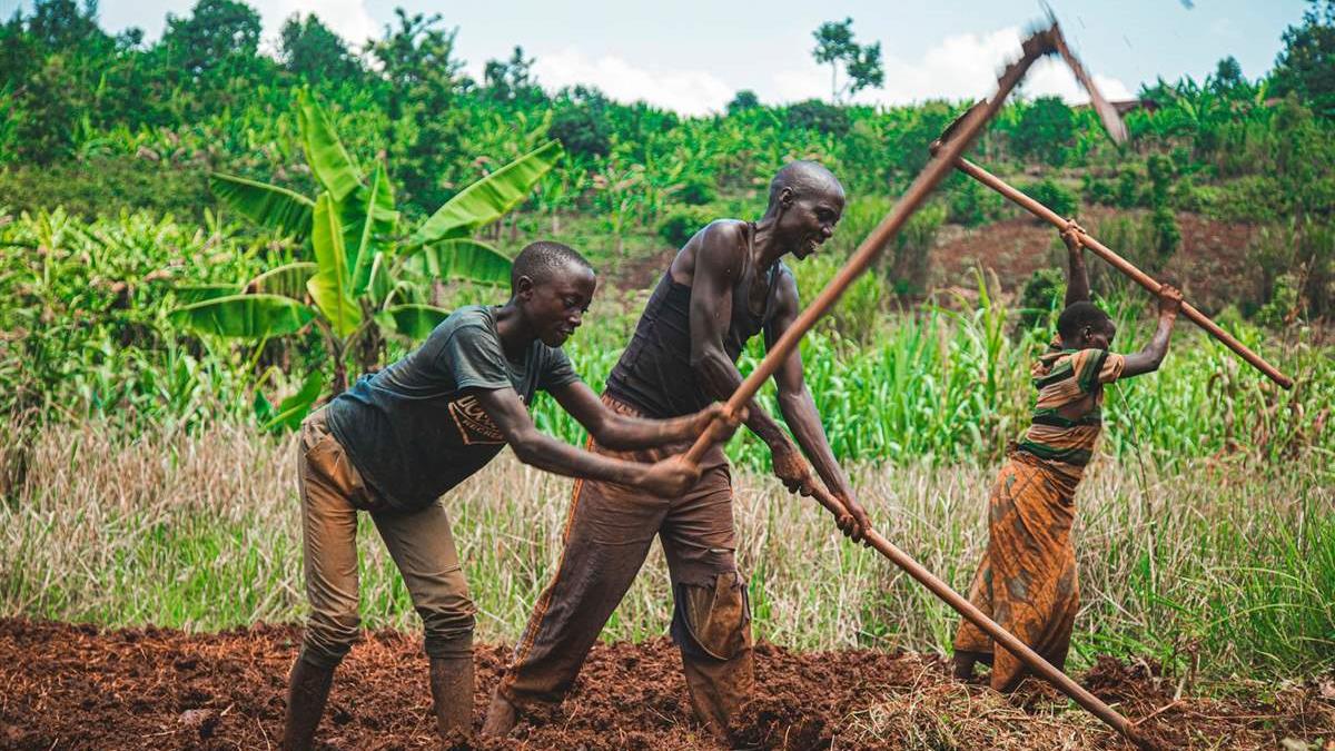 KJSEA Agriculture and Nutrition 2026: Sample Questions with Answers