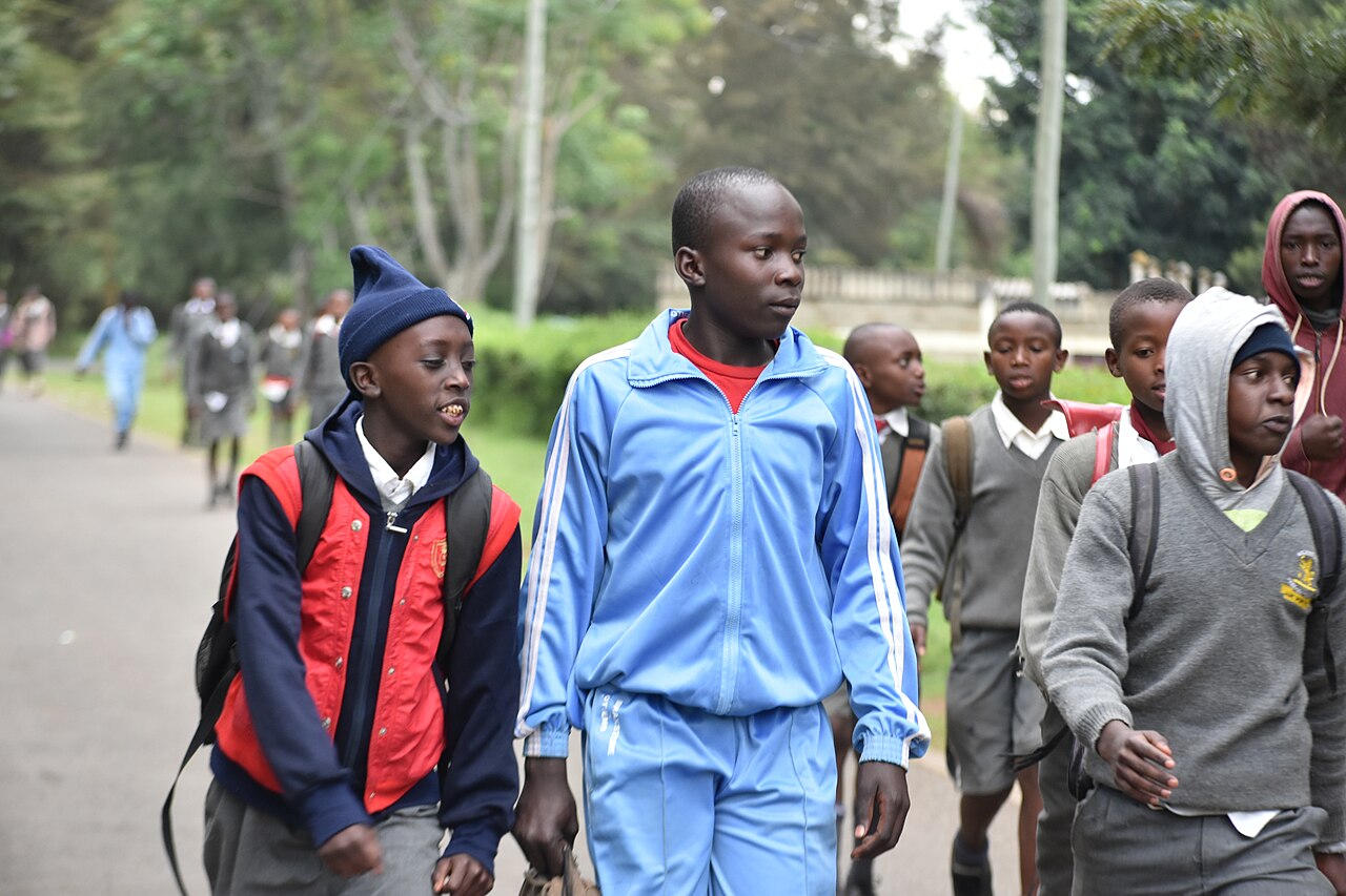 KNEC Sets 30 July Deadline: Verify Your Child's SBA Scores Before It Is Too Late