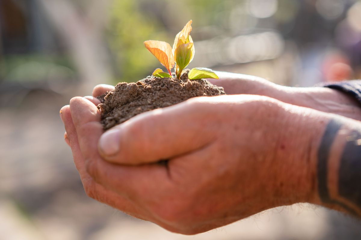 KPSEA Integrated Science 2026: 20 Sample Questions with Answers (Science and Technology, Agriculture, Home Science)