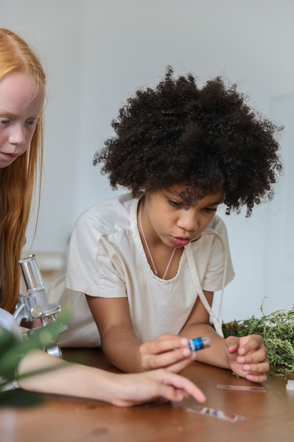 KPSEA Science and Technology: A Grade 6 Revision Guide