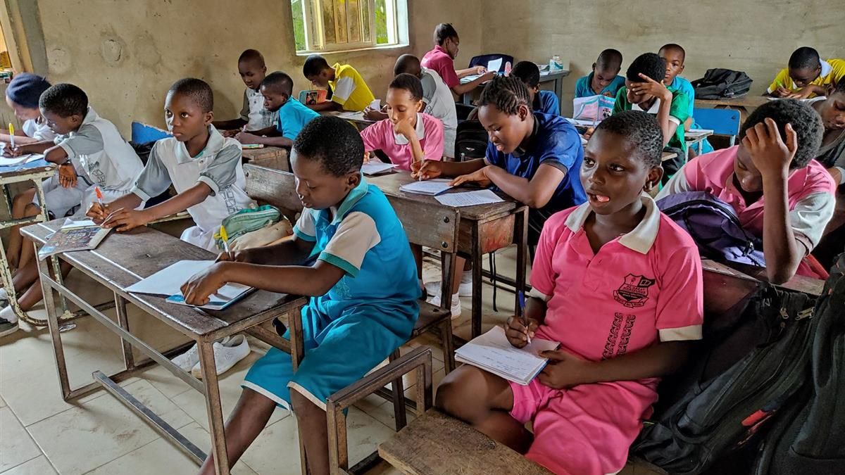 KNEC updates inquiry contact: essential guidance for parents