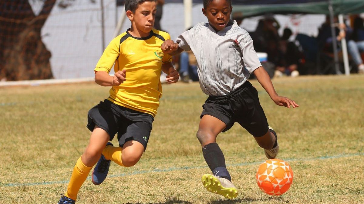 Grade 7 and Grade 8 After Term 3 Closes on 23 October: A Light Holiday Plan That Sets Up Next Year